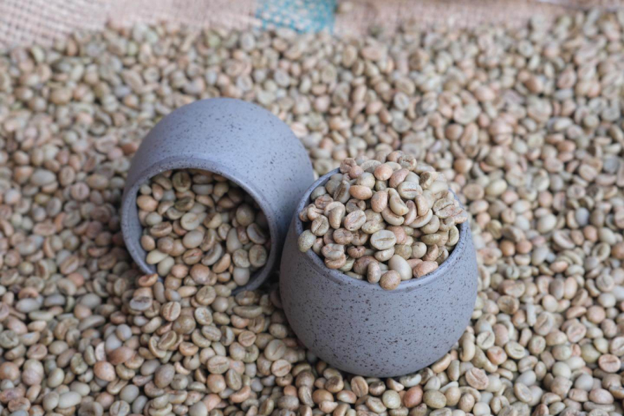 Tiêu chí đánh giá chất lượng Fine Robusta