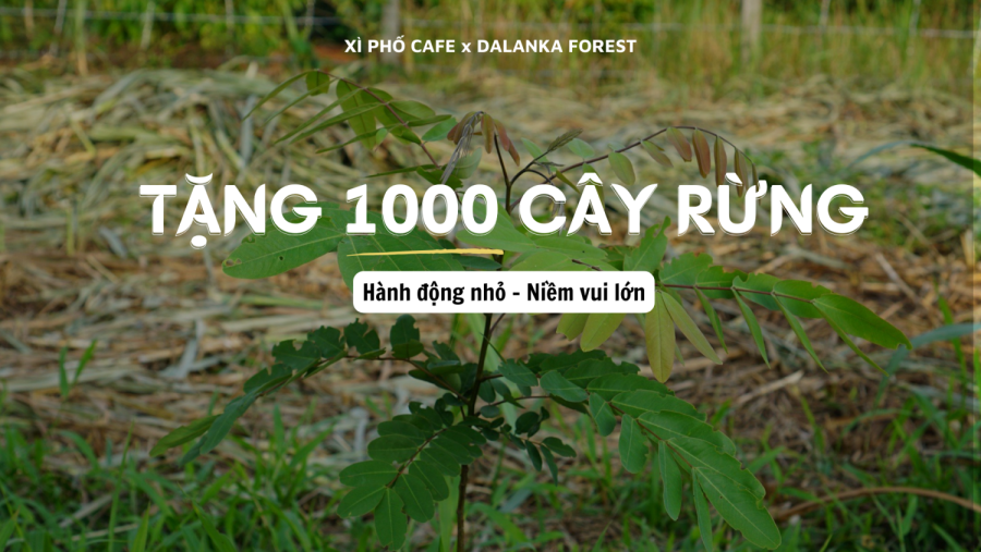 Tặng 1000 cây rừng - Cùng nhà nông chủ động tích trữ nước