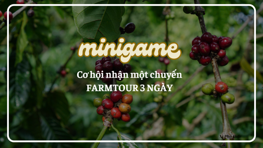 Minigame - Món quà đặc biệt mùa cà phê chín