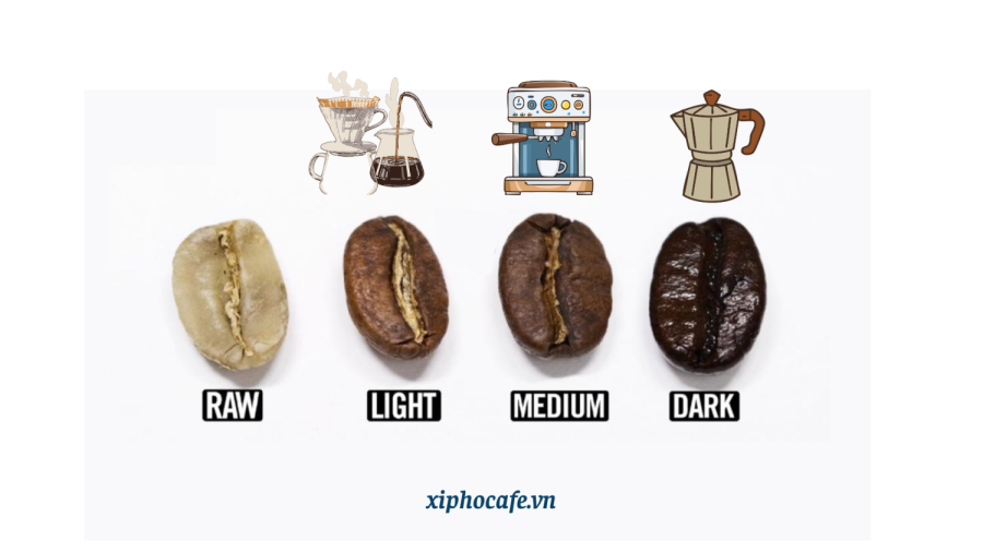 Lựa chọn mức rang cà phê phù hợp dụng cụ pha chế tại nhà
